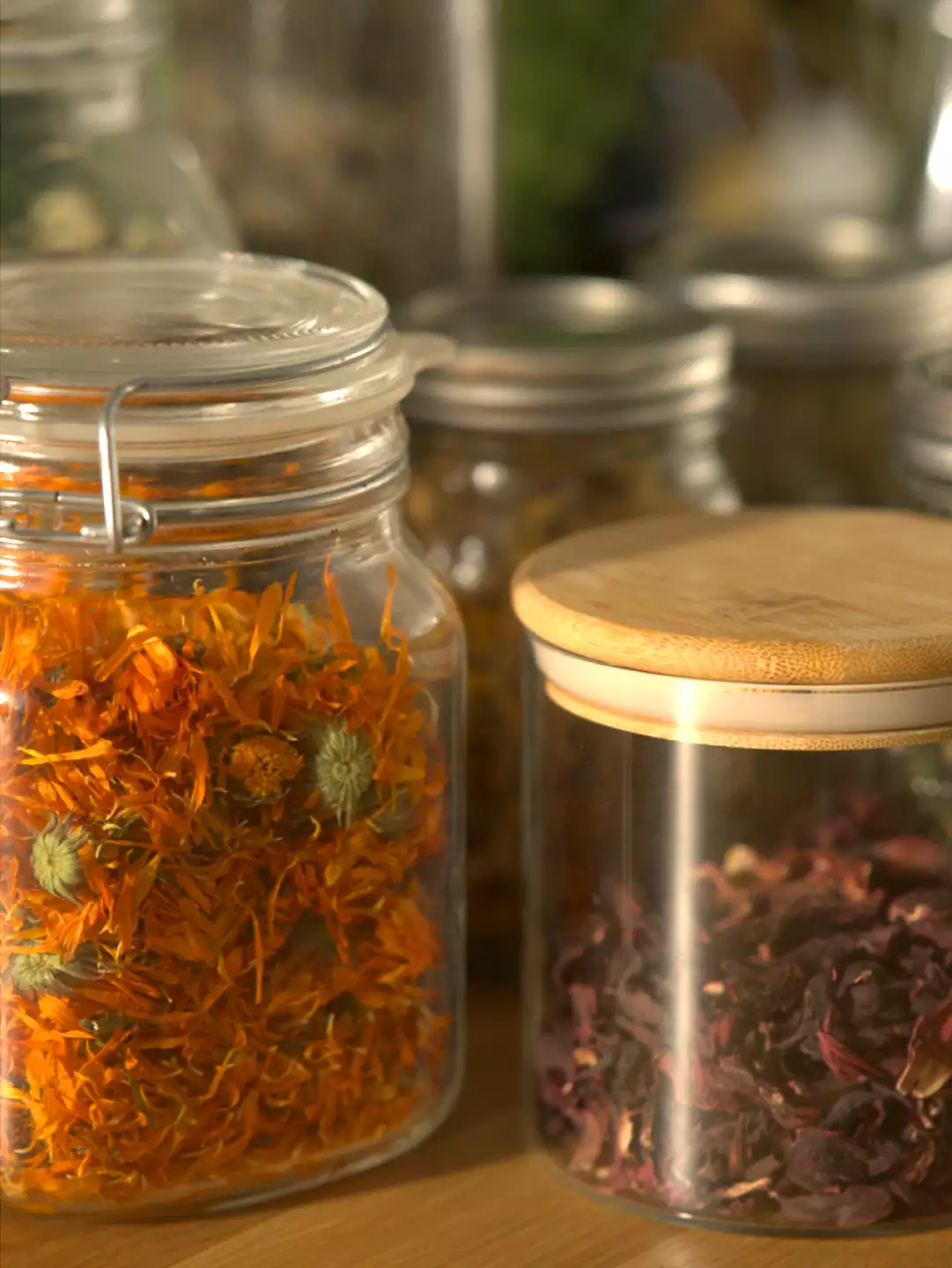 Herbal Medicine Online Best Courses & Classes by NYK